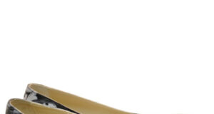 Scurt istoric al balerinilor