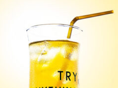 Rețete delicioase de Limonade Limonada