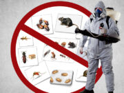 DDD-Iasi iti face o oferta pe care n-o poti refuza!