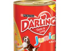 Alimente interzise cainilor darling-junior_13302