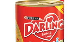 darling-junior_13302