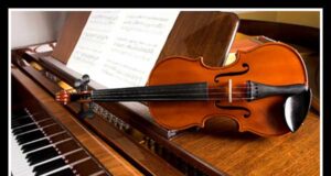 magazin-instrumente-muzicale