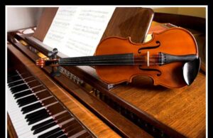 magazin-instrumente-muzicale