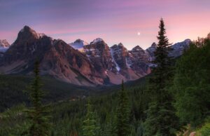 Povestea celor doi taietori de lemne