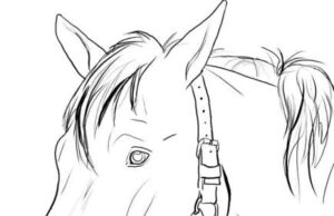 Povestea calului de curse înjugat la povară