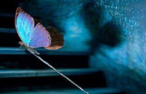 Mai usor cu vorbele pe scari