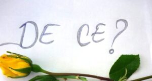Lumea 