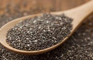 semintele-de-chia-550x315