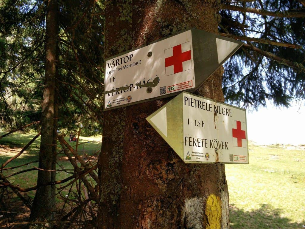 Groapa ruginoasa sau abisul aramiu