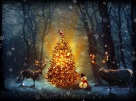 christmas