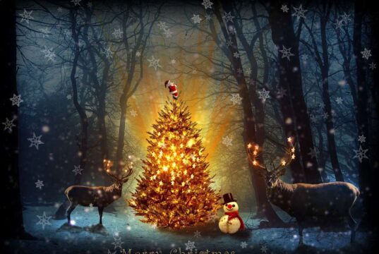 Legende de Craciun part I christmas